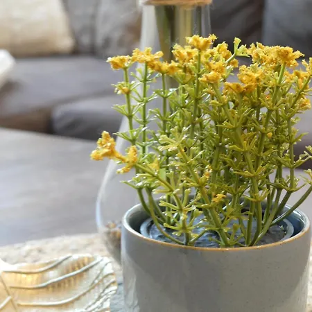 Mikra Homes24 In Appartamento *