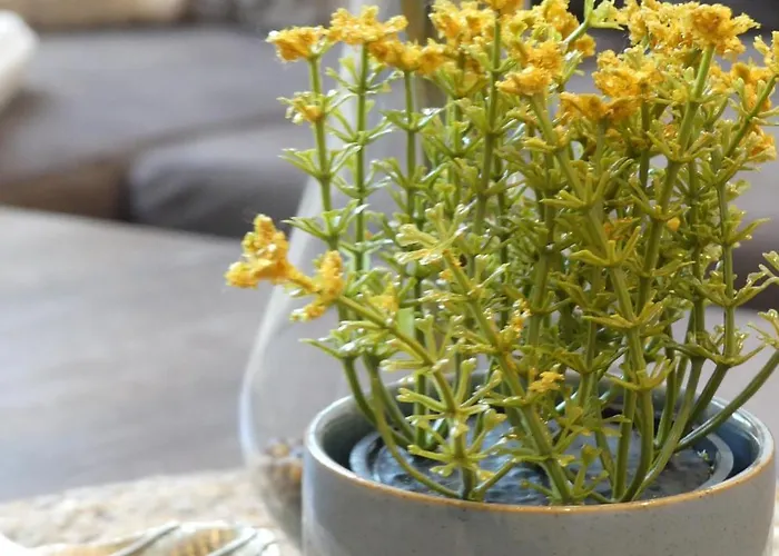 Mikra Homes24 In Appartamento *